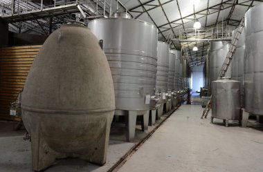 Paslanmaz çelik Viu Manent şarap şarap için fermantasyon tankları.
