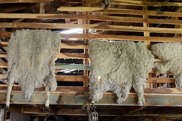  Koyungiller ahır çiftlik evleri Harberton'da kurutma.