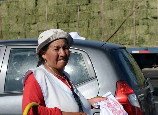 Onbekende Chileense vrouw verkopen op de weg. — Stockfoto