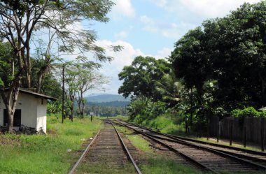  Küçük bir kasabanın içinden Seylan Adası üzerinde çalışan demiryolu.