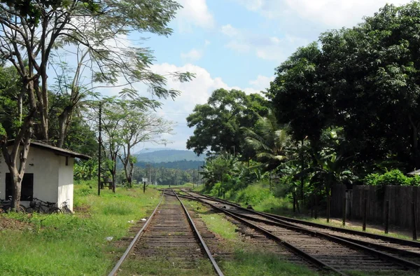  Küçük bir kasabanın içinden Seylan Adası üzerinde çalışan demiryolu.