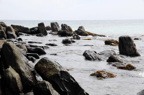 Beach of the Indian ocean on the island of Sri Lanka. — Stock Photo, Image