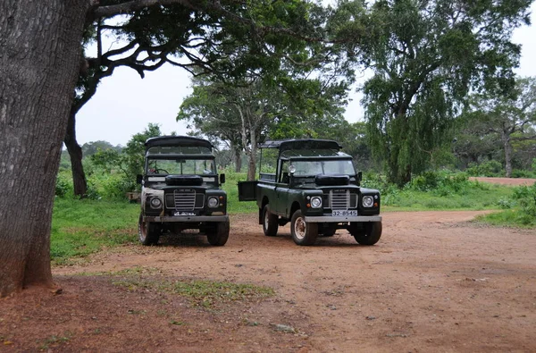 Tours en jeep turístico en el Parque Nacional de Yala . — Foto de Stock