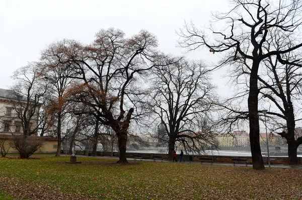 Parco sull'isola di Kampa . — Foto Stock