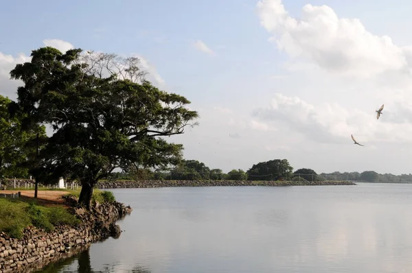 Jezero na ostrově Srí Lanka. — Stock fotografie
