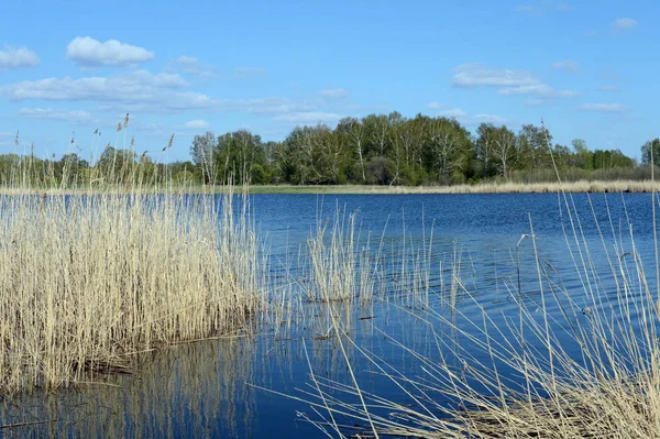 Lake Bolsjoje Ostrovnoe. Altaj-regio. — Stockfoto