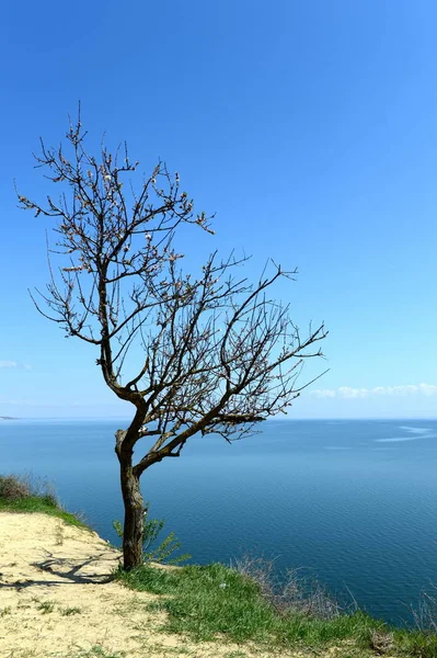 Tsimlyansk reservoir i regionen Rostov. — Stockfoto