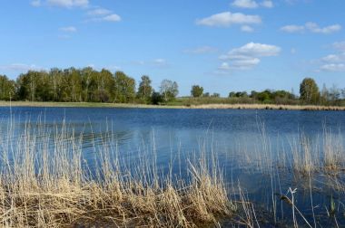Lake Bolshoe Ostrovnoe. Altay bölgesi.