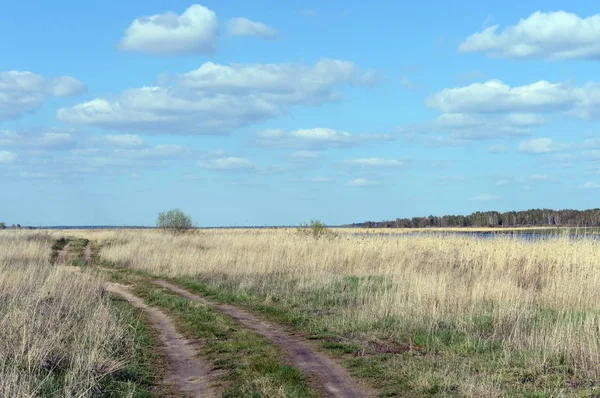 Sur la rive du lac Bolshoy Ostrovnoye. Région de l'Altaï . — Photo