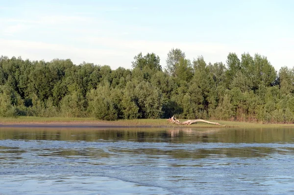    Ob nehir kenarında Barnaul şehir.