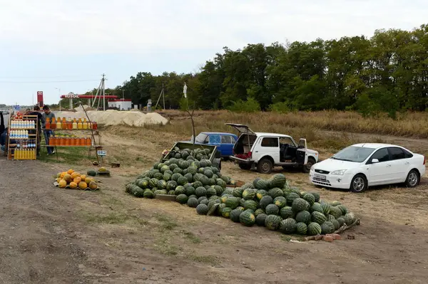  Kavun ve yol kenarında üzerinde su kabakları ticareti.