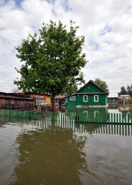  Sel. Nehri kıyılarından ortaya çıkan, Ob, kentin eteklerinde sular altında..