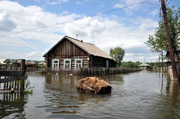  Sel. Nehri kıyılarından ortaya çıkan, Ob, kentin eteklerinde sular altında..