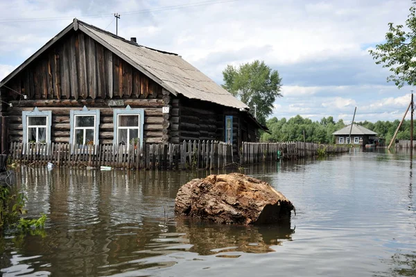  Sel. Nehri kıyılarından ortaya çıkan, Ob, kentin eteklerinde sular altında..