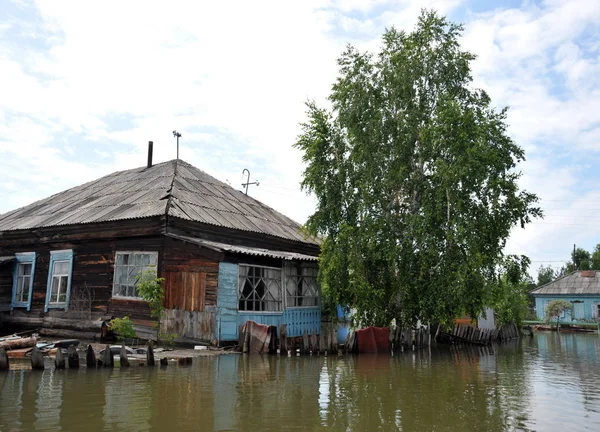 Sel. Nehri kıyılarından ortaya çıkan, Ob, kentin eteklerinde sular altında..