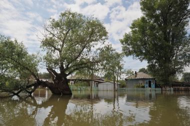 Sel. Nehri kıyılarından ortaya çıkan, Ob, kentin eteklerinde sular altında..