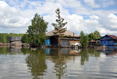  Sel. Nehri kıyılarından ortaya çıkan, Ob, kentin eteklerinde sular altında..