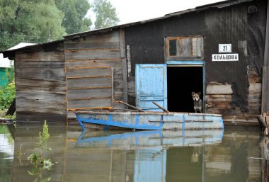  Sel. Nehri kıyılarından ortaya çıkan, Ob, kentin eteklerinde sular altında.. 