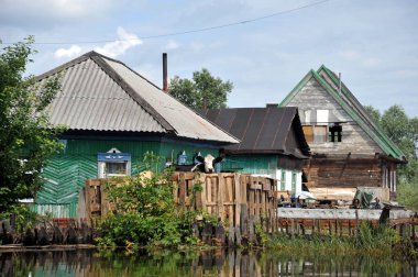 Sel. Nehri kıyılarından ortaya çıkan, Ob, kentin eteklerinde sular altında. Hayvancılık tepede kaçar.