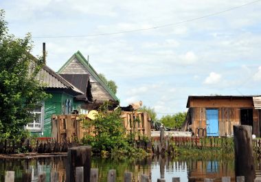 Sel. Nehri kıyılarından ortaya çıkan, Ob, kentin eteklerinde sular altında. Hayvancılık tepede kaçar.