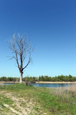 Don nehir kıyısında Rostov bölgesi Romanovskaya köyü yakınındaki