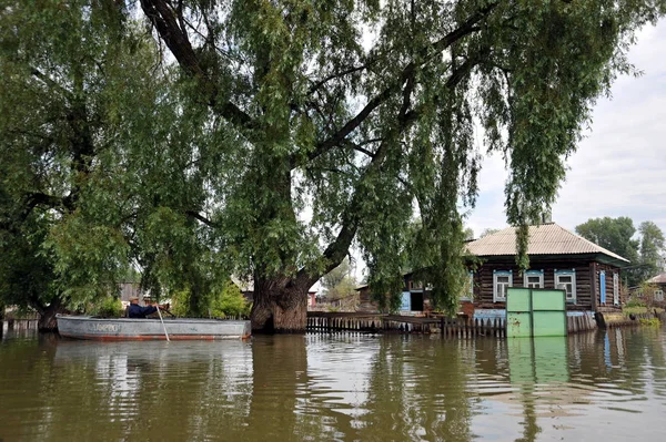 Halk sokaklarda tekne ile hareket ettirin. Bankalar dışında geldi, Ob nehir kentin eteklerinde sular altında..