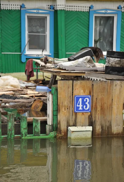  Su baskını sırasında posta kutusu. Nehri kıyılarından ortaya çıkan, Ob, kentin eteklerinde sular altında..