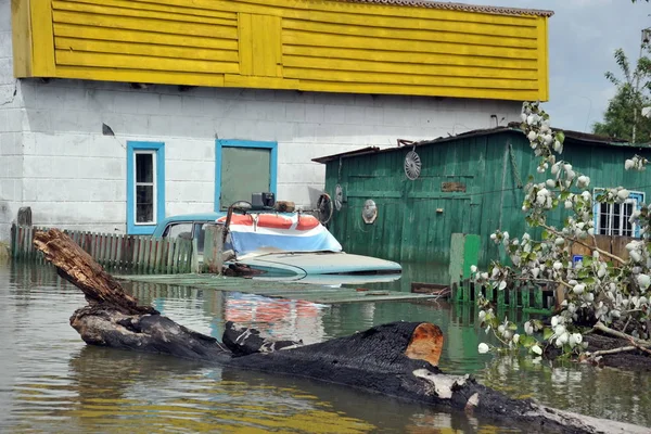 Sular altında araba. Nehri kıyılarından ortaya çıkan, Ob, kentin eteklerinde sular altında..