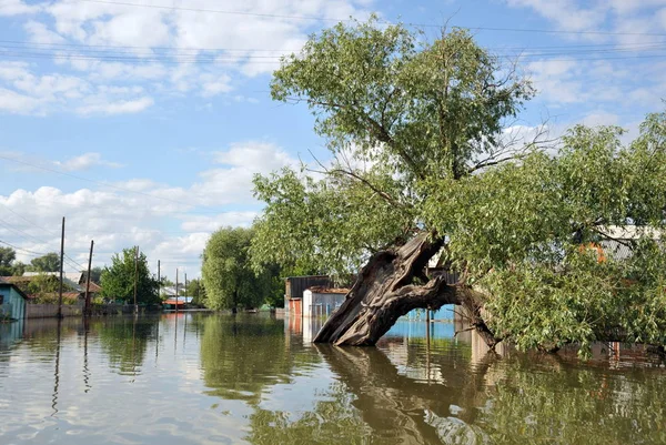  Sel. Nehri kıyılarından ortaya çıkan, Ob, kentin eteklerinde sular altında..