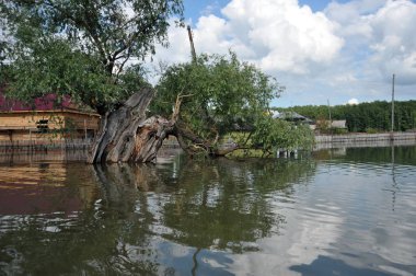 Sel. Nehri kıyılarından ortaya çıkan, Ob, kentin eteklerinde sular altında..
