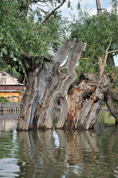 Inundación. El río Ob, que surgió de las orillas, inundó las afueras de la ciudad . —  Fotos de Stock