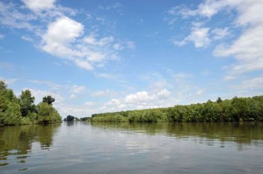 Su baskını sırasında dökülen nehir Ob.