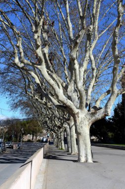  Ulusal Sanat Müzesi Katalonya Montjuic Barcelona üzerinde park mevcuttur.
