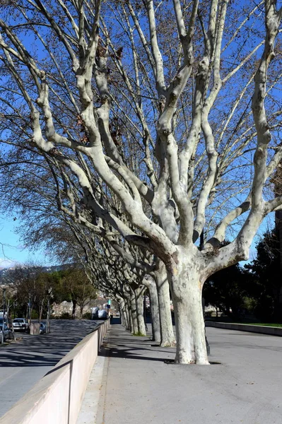  Ulusal Sanat Müzesi Katalonya Montjuic Barcelona üzerinde park mevcuttur.