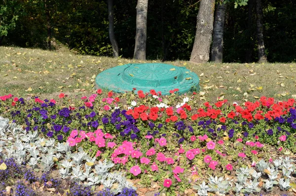 Ciudad jardín de flores con flores brillantes de verano en la calle de Vitebsk . —  Fotos de Stock