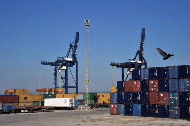 Cadiz, İspanya - 5 Temmuz, 2011:Container bahçeye seaport Cadiz.