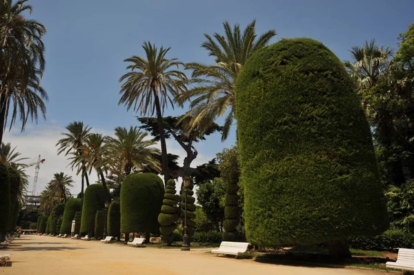 Cadiz Espagne Juillet 2011 Parque Genoveses Dans Vieille Ville Maritime — Photo