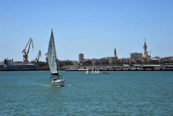 Cadiz Spain July 2011 Sailing Yachts Harbor Seaport Cadiz Coast — Stock Photo, Image