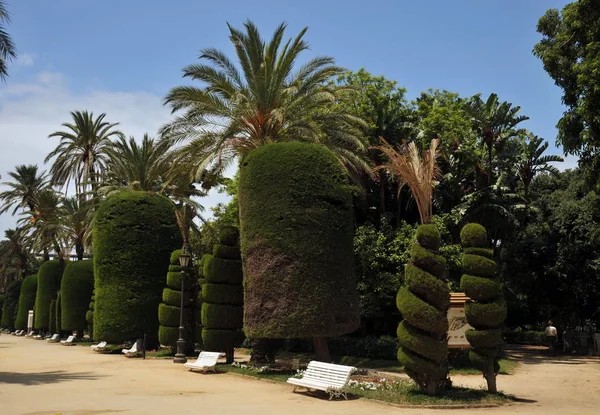 Cadiz Spagna Luglio 2011 Parque Genoveses Nella Parte Vecchia Della — Foto Stock