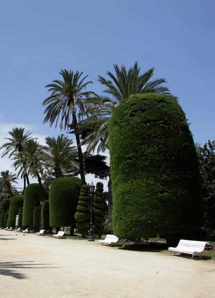Parque Genoveses in the old part of the maritime city of Cadiz. — Stock Photo, Image