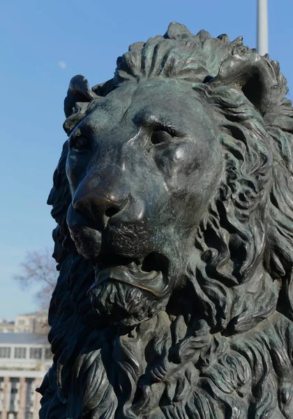 Bronze lion sculpture-a fragment of the monument to Emperor Alexander II. — Stock Photo, Image