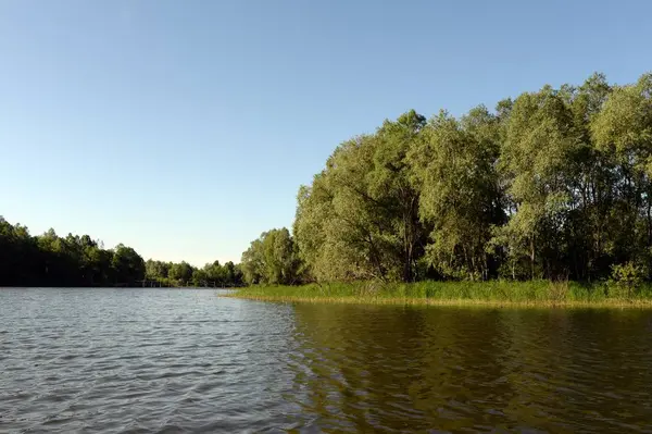 Jezioro Krasilovo na terytorium Altai.Zachodnia Syberia. Rosja — Zdjęcie stockowe