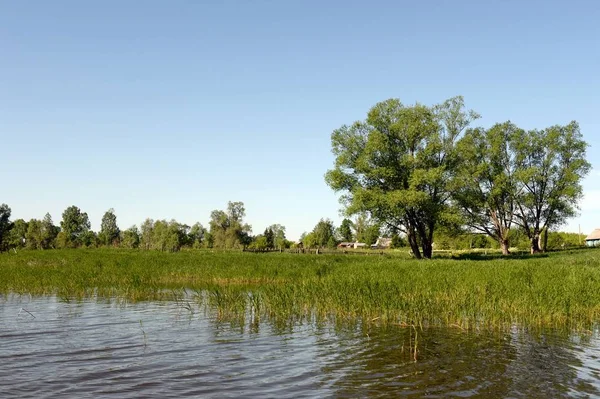 Shore of lake Krasilovo in the Altai territory.Western Siberia. Russia — Stock Photo, Image