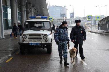  Polis memurları Moskova 'daki Sheremetyevo uluslararası havaalanında bir köpekle devriye geziyor.