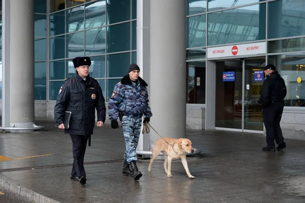 Сотрудники милиции патрулируют территорию международного аэропорта Шереметьево в Москве с собакой — стоковое фото