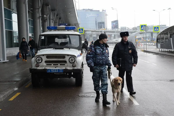 Police officers patrol the territory of Sheremetyevo international airport in Moscow with a dog — Stock Photo, Image