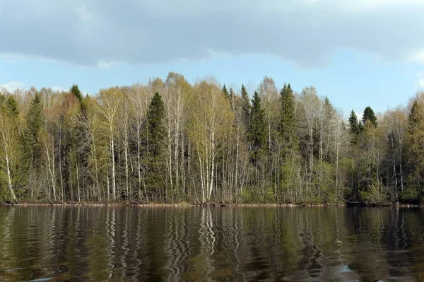 Vologda bölgesindeki Sheksna nehrinde bahar. Rusya — Stok fotoğraf