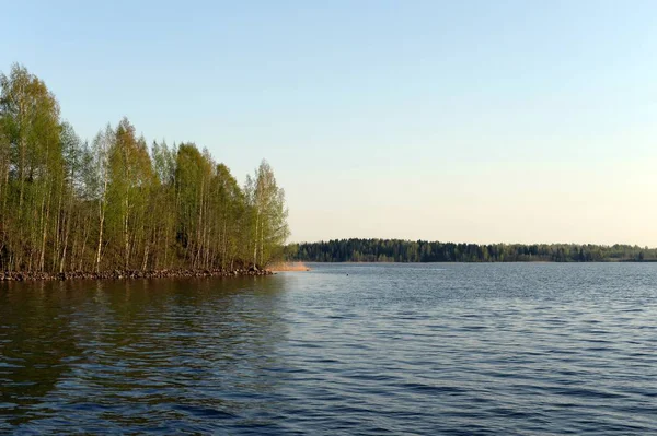 봄은 보로다 지역의 셰스나 강에서 시작 된다. 러시아 — 스톡 사진