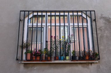  İstanbul 'un bir yerleşim bölgesinde çiçekli pencere