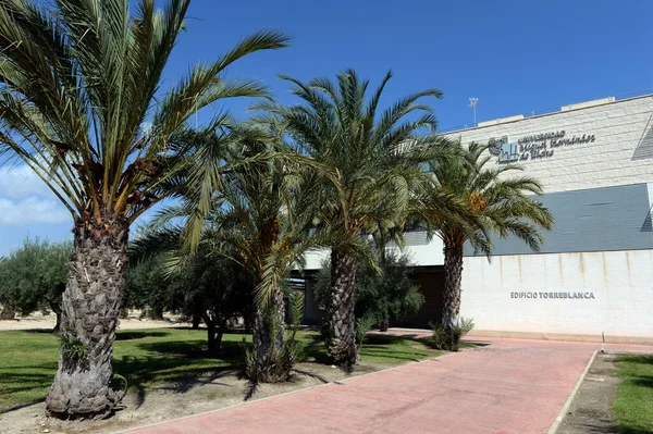 Elche España Septiembre 2018 Universidad Miguel Hernández Elche España —  Fotos de Stock